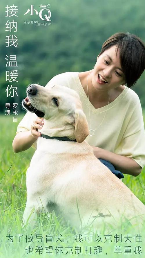 麦克莱斯菲尔德学院文凭毕业证真实样板